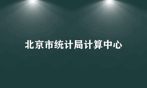北京市统计局计算中心