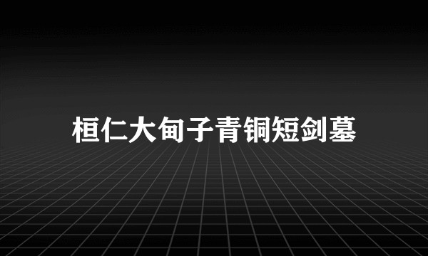 桓仁大甸子青铜短剑墓