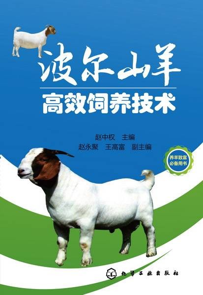 波尔山羊高效饲养技术