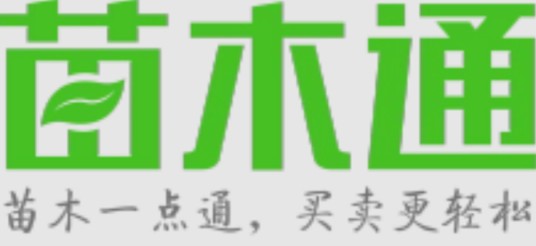 湖南苗木通信息科技有限公司