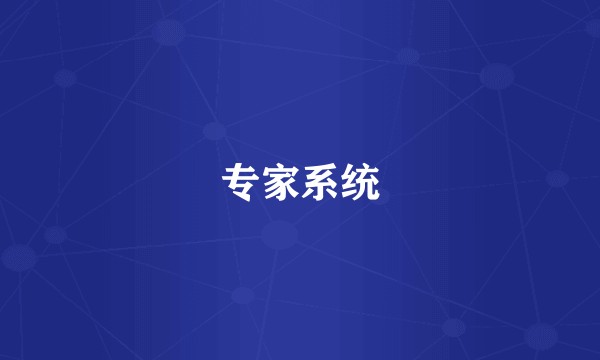 专家系统