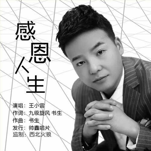感恩人生（歌曲）