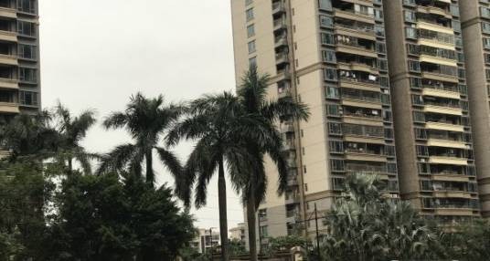 珊瑚湾畔碧湖径