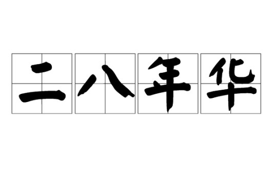 二八年华