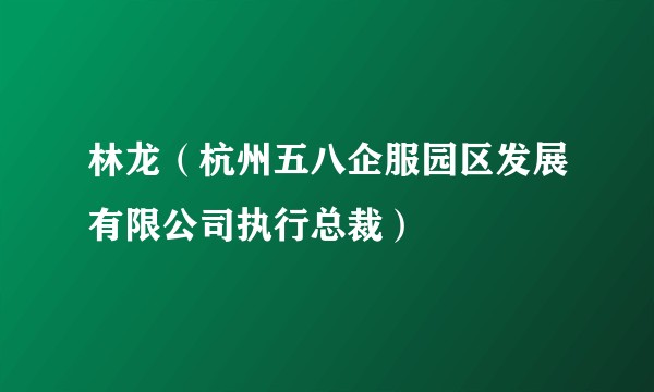 林龙（杭州五八企服园区发展有限公司执行总裁）