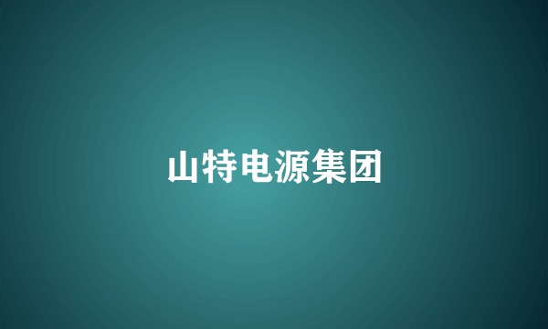 山特电源集团