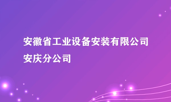 安徽省工业设备安装有限公司安庆分公司