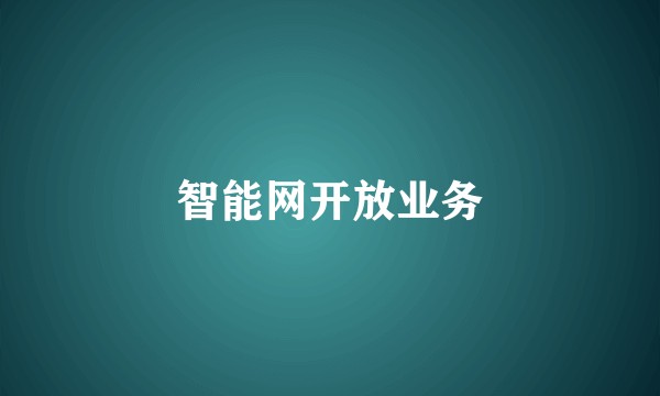智能网开放业务