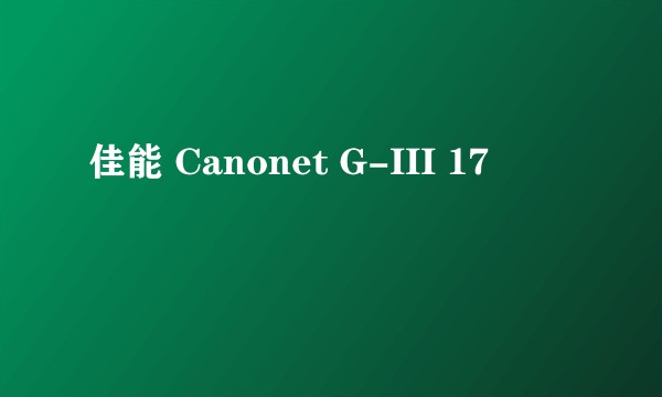 佳能 Canonet G-III 17