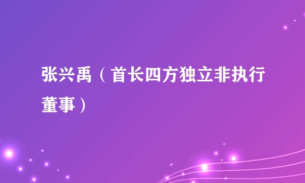 张兴禹（首长四方独立非执行董事）