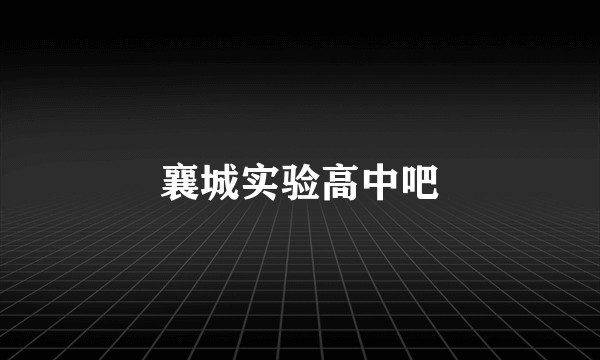 襄城实验高中吧