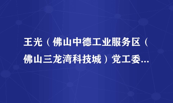 王光（佛山中德工业服务区（佛山三龙湾科技城）党工委委员、管理委员会副主任）