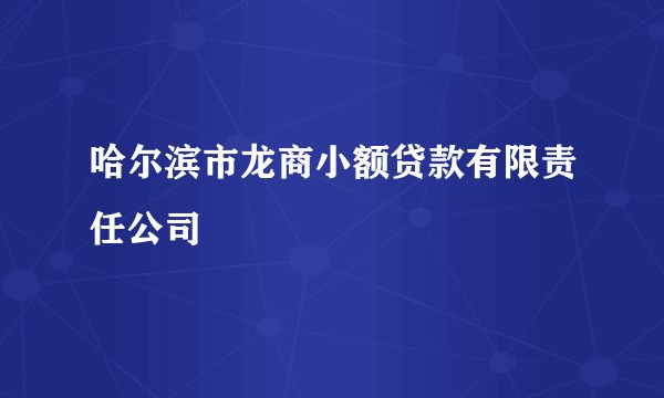 哈尔滨市龙商小额贷款有限责任公司