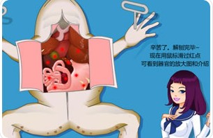美女解剖青蛙