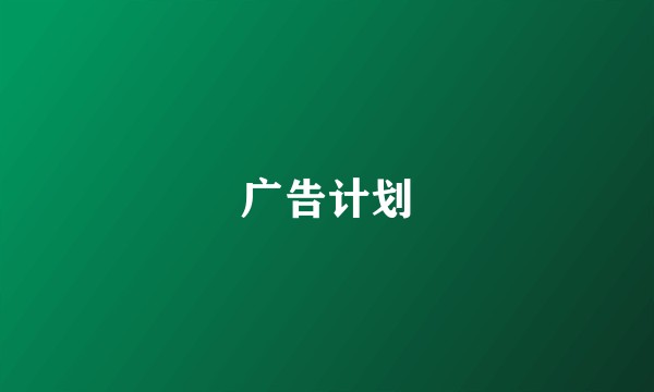 广告计划
