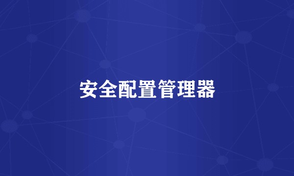 安全配置管理器