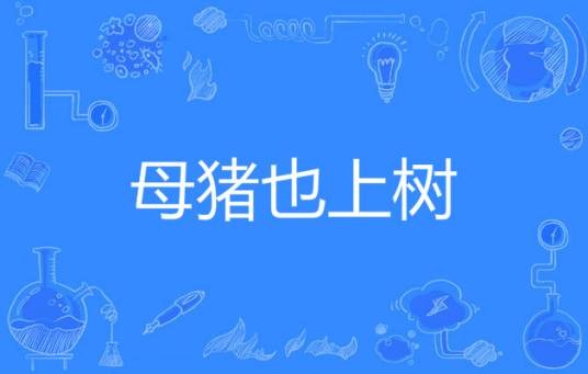 母猪也上树