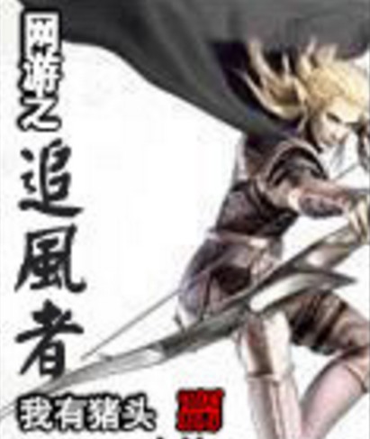 网游之追风者