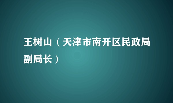 王树山（天津市南开区民政局副局长）