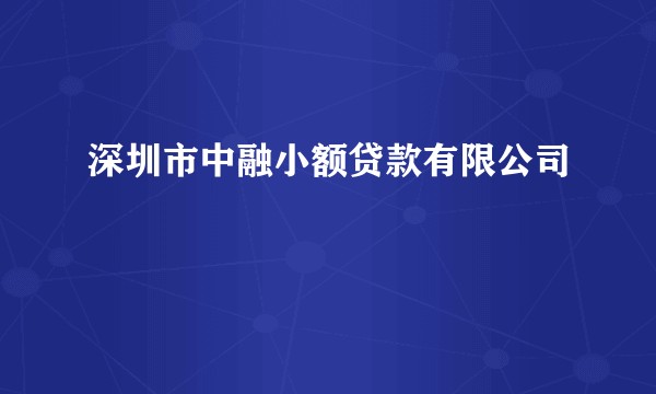 深圳市中融小额贷款有限公司