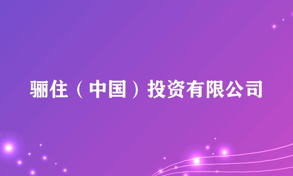 骊住（中国）投资有限公司