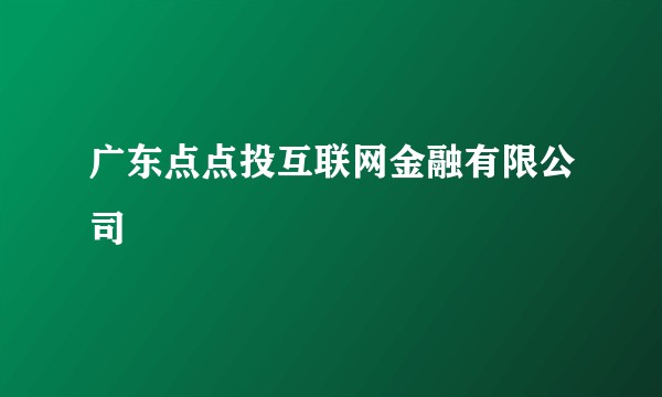 广东点点投互联网金融有限公司