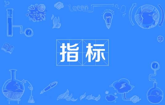 指标（汉语词语）