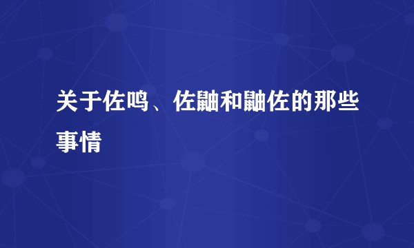 关于佐鸣、佐鼬和鼬佐的那些事情