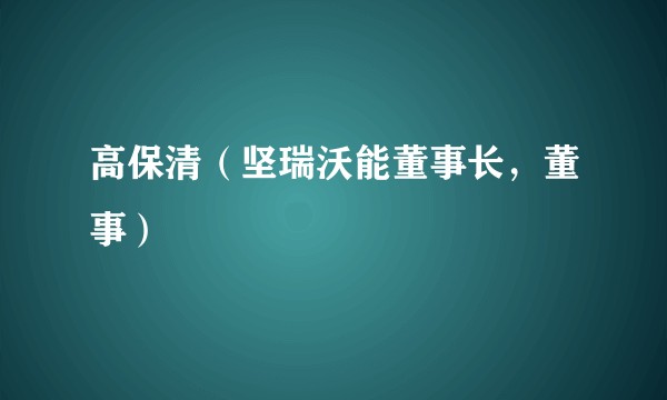 高保清（坚瑞沃能董事长，董事）