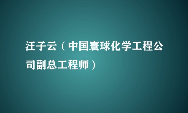 汪子云（中国寰球化学工程公司副总工程师）