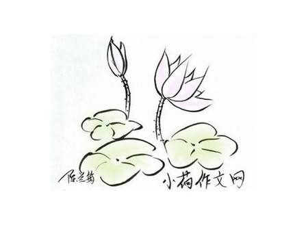 小荷作文网