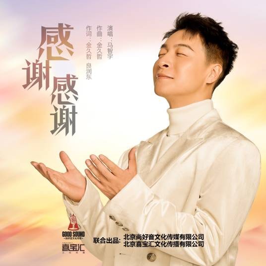 感谢感谢（马智宇演唱歌曲）