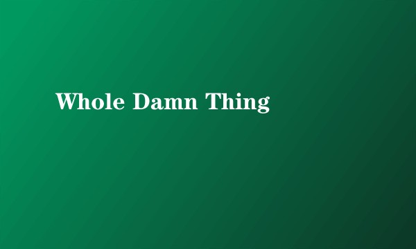 Whole Damn Thing