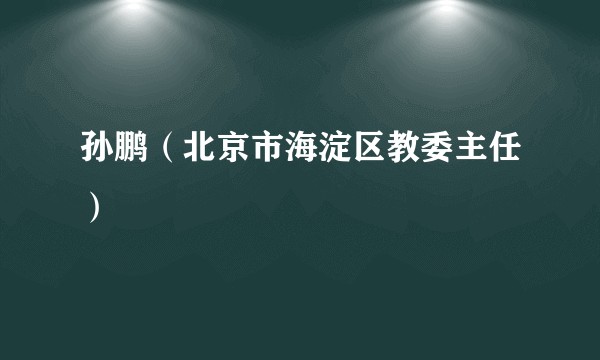 孙鹏（北京市海淀区教委主任）