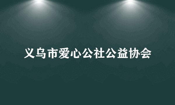义乌市爱心公社公益协会