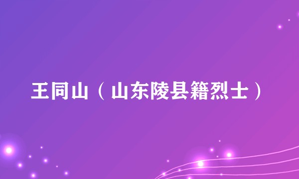 王同山（山东陵县籍烈士）