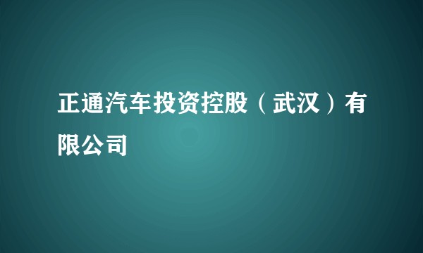 正通汽车投资控股（武汉）有限公司