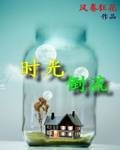 时光倒流（网络小说）