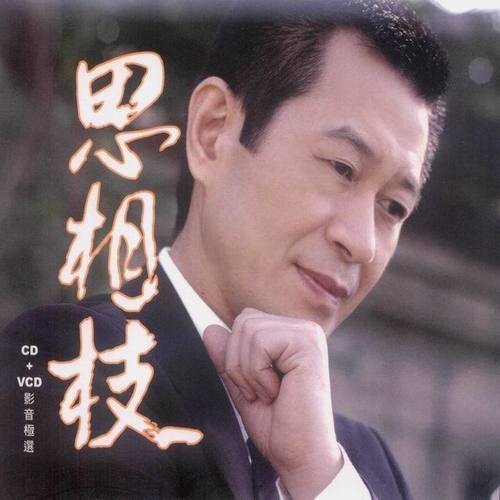 情恨（蔡小虎演唱的歌曲）