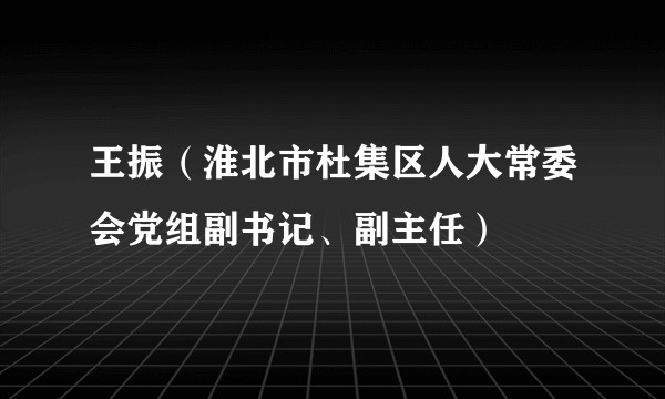 王振（淮北市杜集区人大常委会党组副书记、副主任）