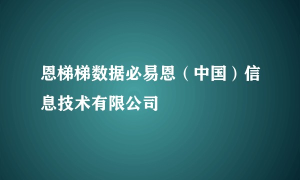 恩梯梯数据必易恩（中国）信息技术有限公司