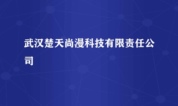 武汉楚天尚漫科技有限责任公司