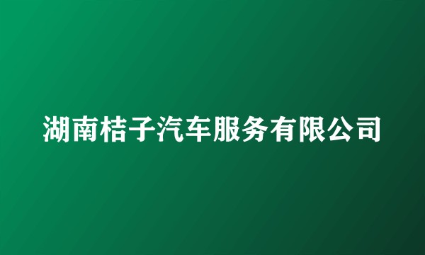 湖南桔子汽车服务有限公司