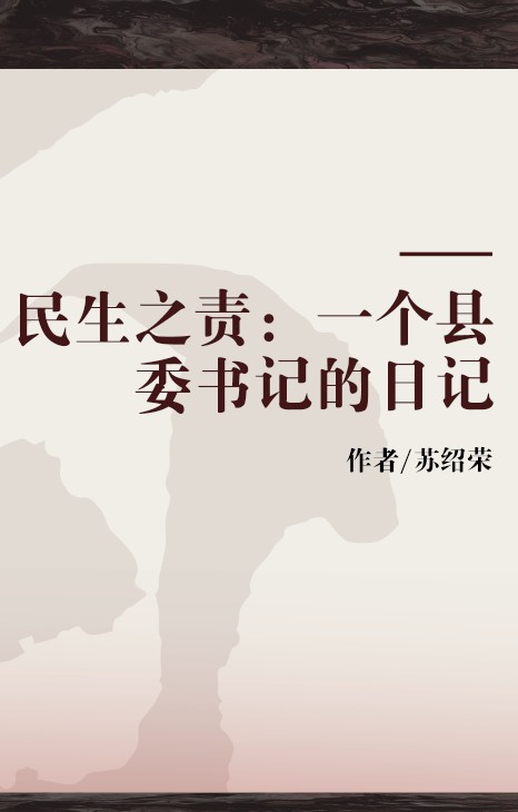 民生之责：一个县委书记的日记