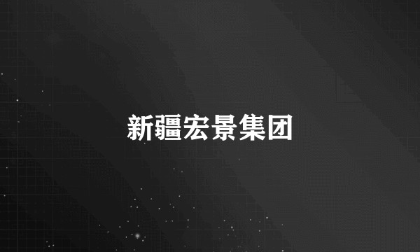 新疆宏景集团