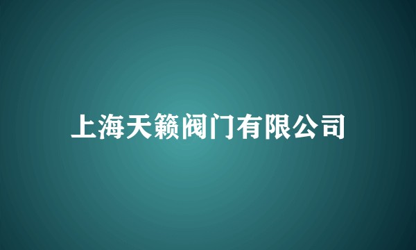 上海天籁阀门有限公司