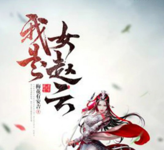 我是女赵云