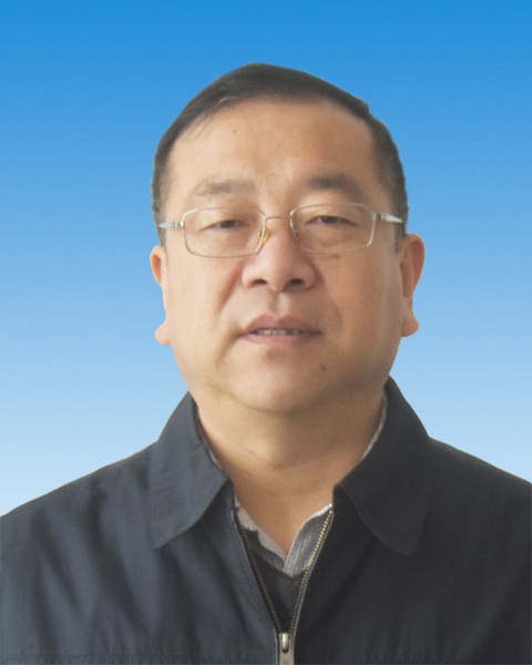 秦建宇