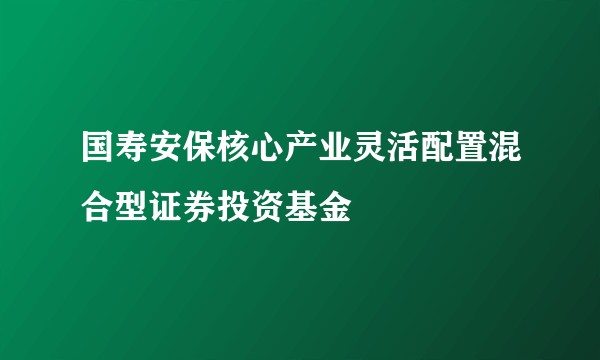 国寿安保核心产业灵活配置混合型证券投资基金