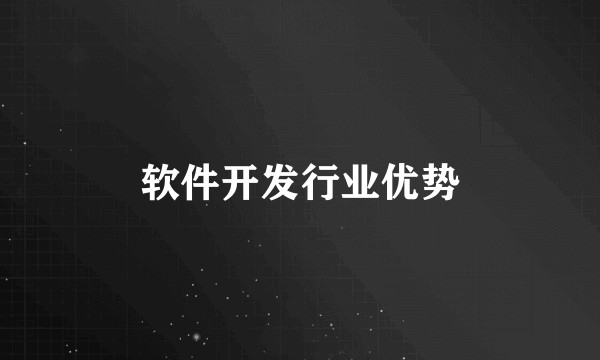 软件开发行业优势